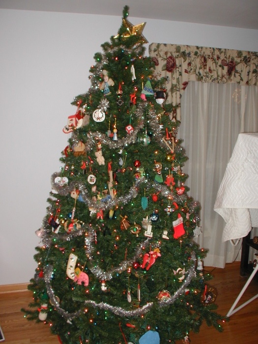 Our Christmas tree, Dec 2002.  The tree is in the living room.