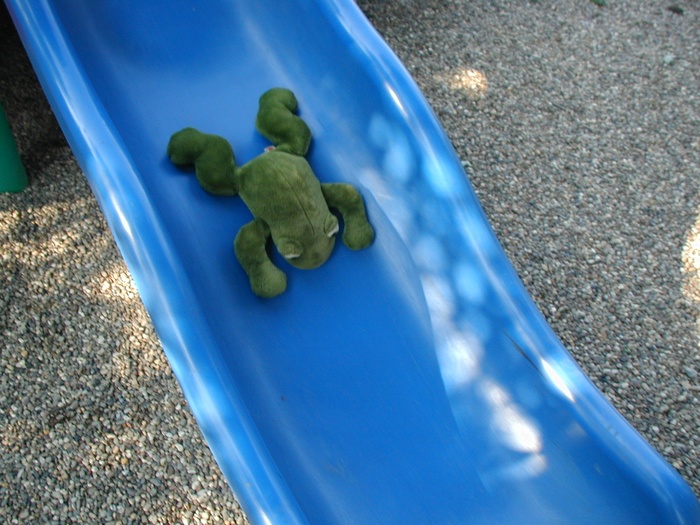 10 Kermit on a Slide