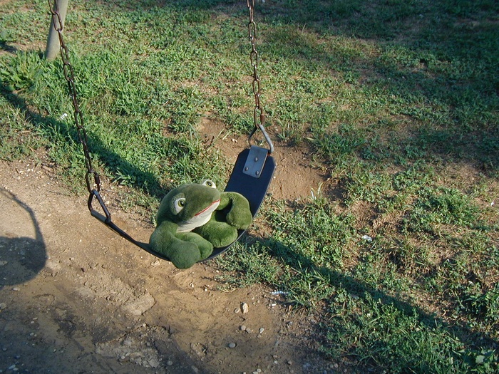 11 Frog on a Swing
