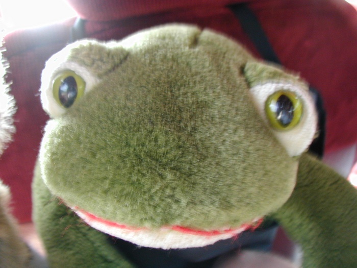 09 Kermit