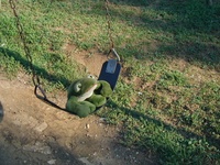 12 Frog on a Swing