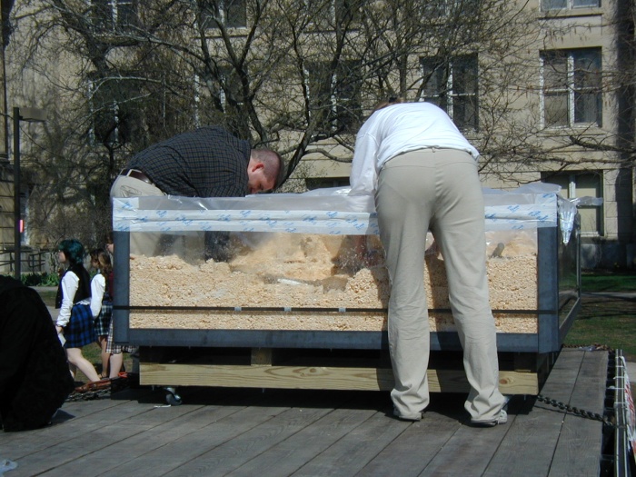 The World's Largest Rice Krispie Treat